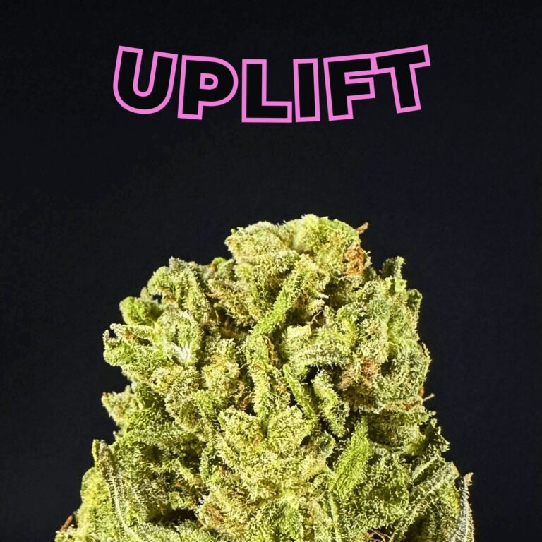 pineapple thai thca flower   high fidelity co