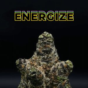 pink rozay thca flower   high fidelity co   page 5