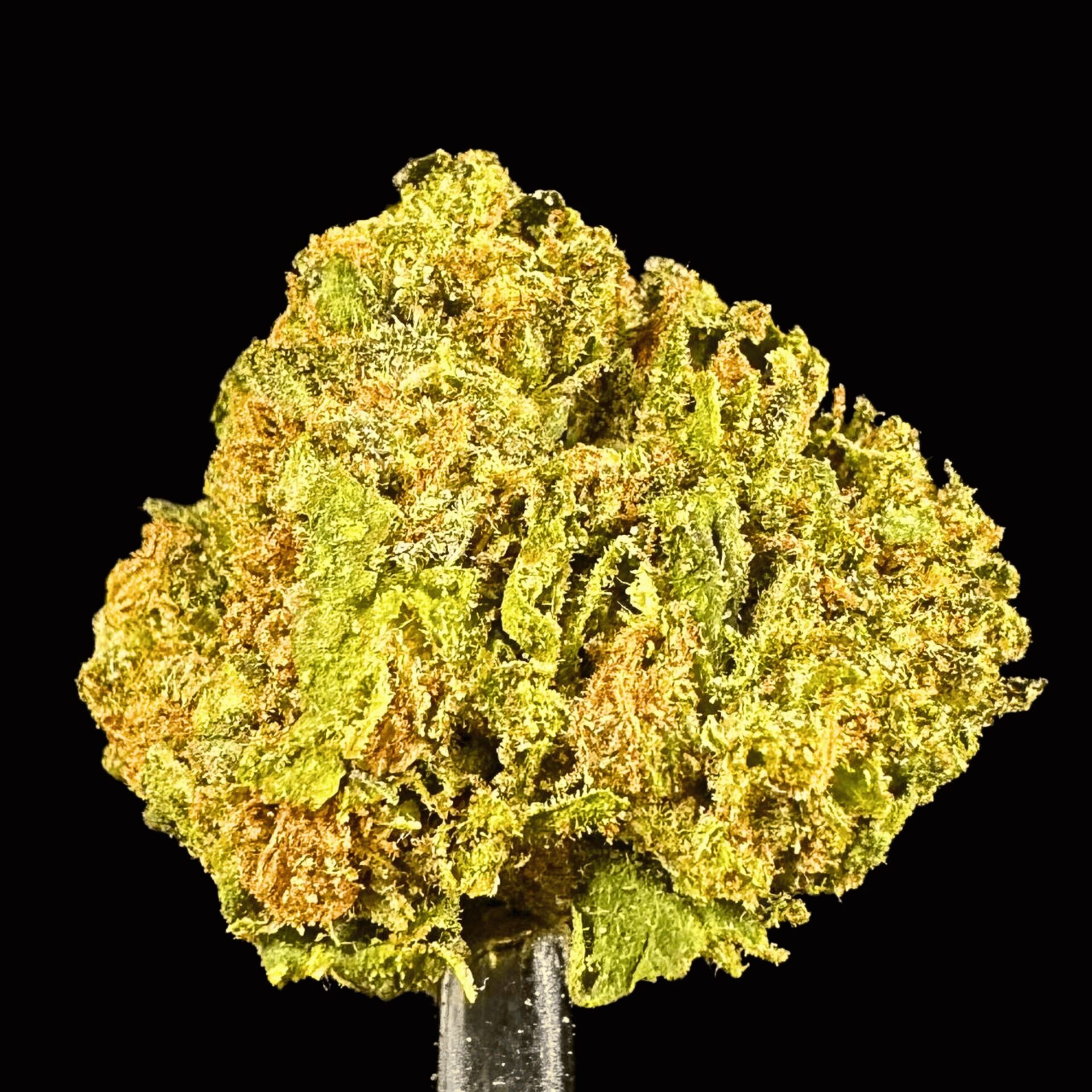 420 deal 7g double runtz smalls thca flower   high fidelity co
