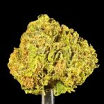 double runtz smalls thca flower   high fidelity co