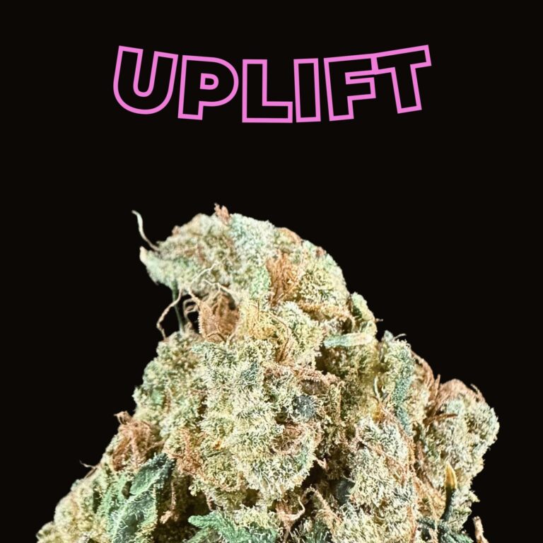 dutch treat thca flower   high fidelity co