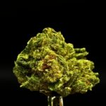 grape gas smalls thca flower   high fidelity co