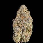 hash cake thca flower   high fidelity co