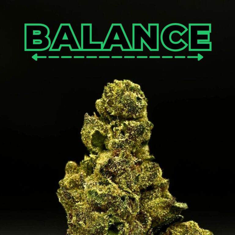 luxxe runtz thca flower   high fidelity co