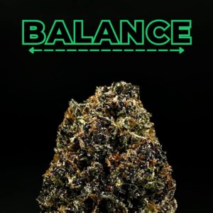 runtz thca flower   high fidelity co