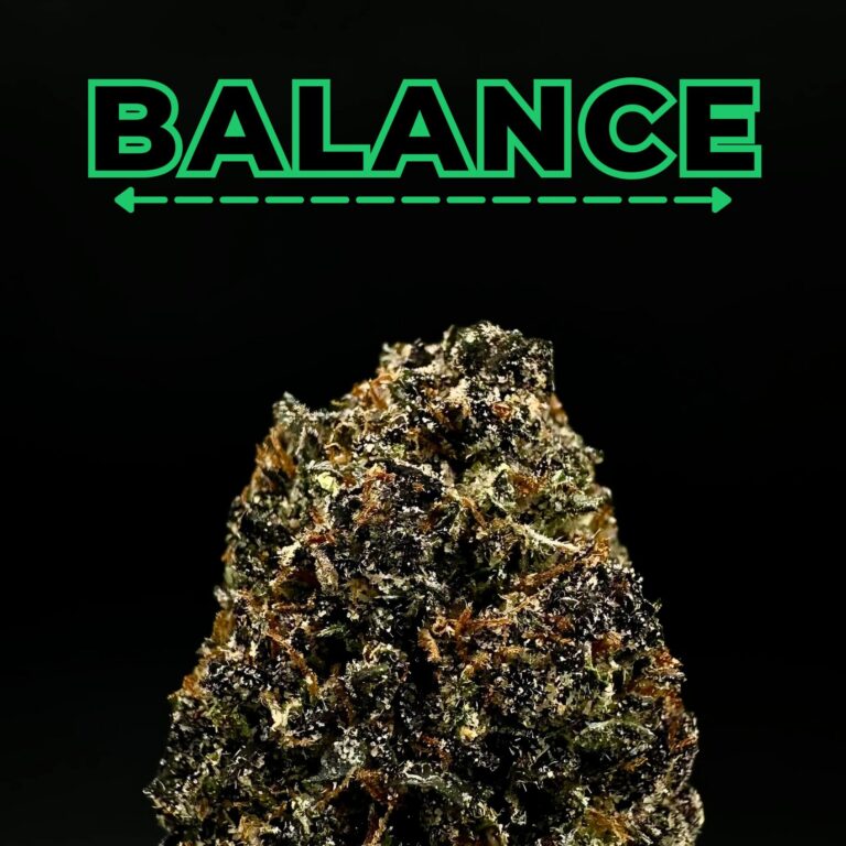 runtz thca flower   high fidelity co