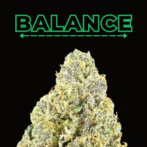 "Royal Runtz" THCa Flower