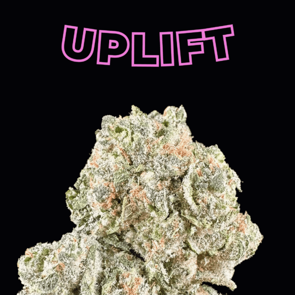 Blue Dream THCa Flower