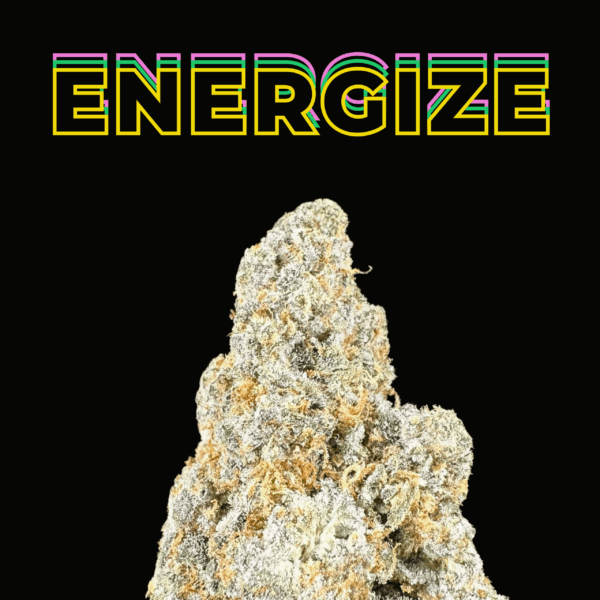 "Cafe Racer" THCa Flower