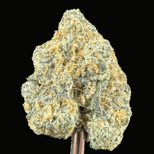 "College Park" THCa Flower