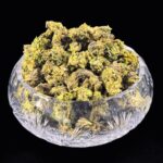 creme brulee smalls thca flower   high fidelity co