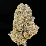 ice cream cake thca flower bulk   high fidelity co