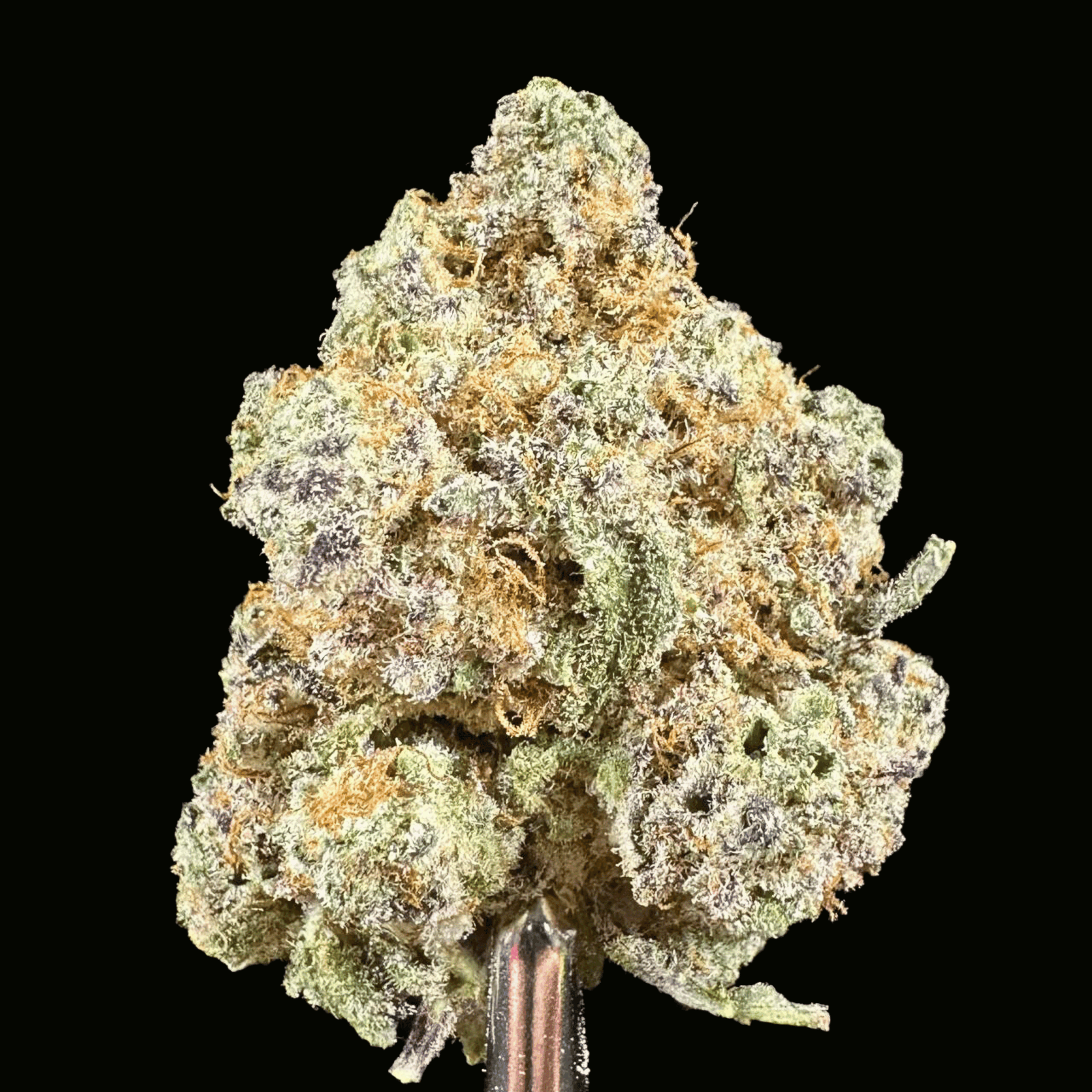 mac thca flower   high fidelity co