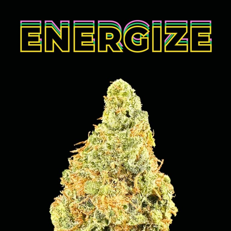 panama red thca flower   high fidelity co