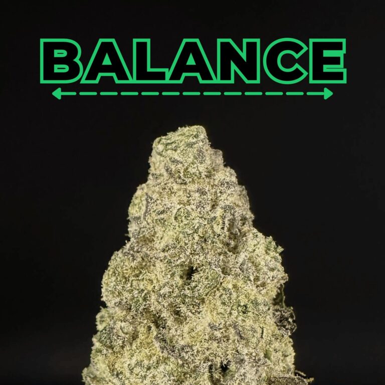tahiti lime thca flower   high fidelity co