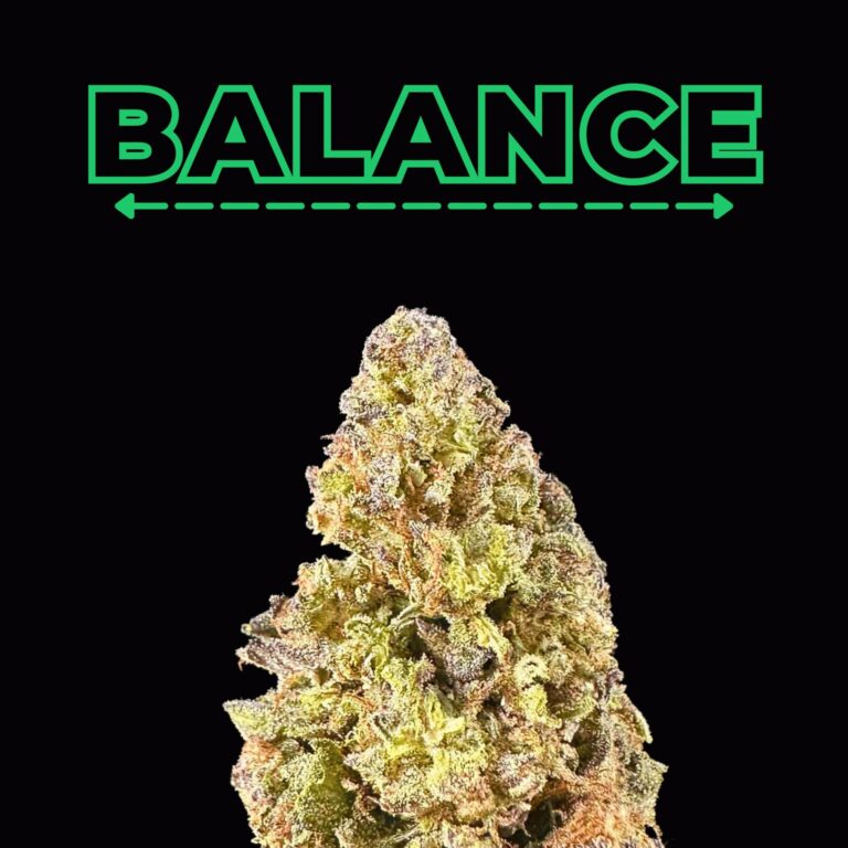 white gelato thca flower bulk   high fidelity co