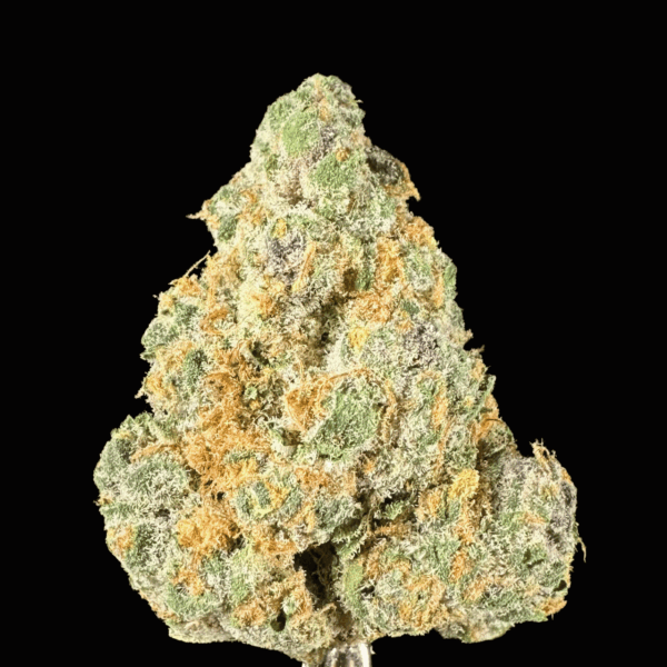 "Apricot Scone" THCa Flower