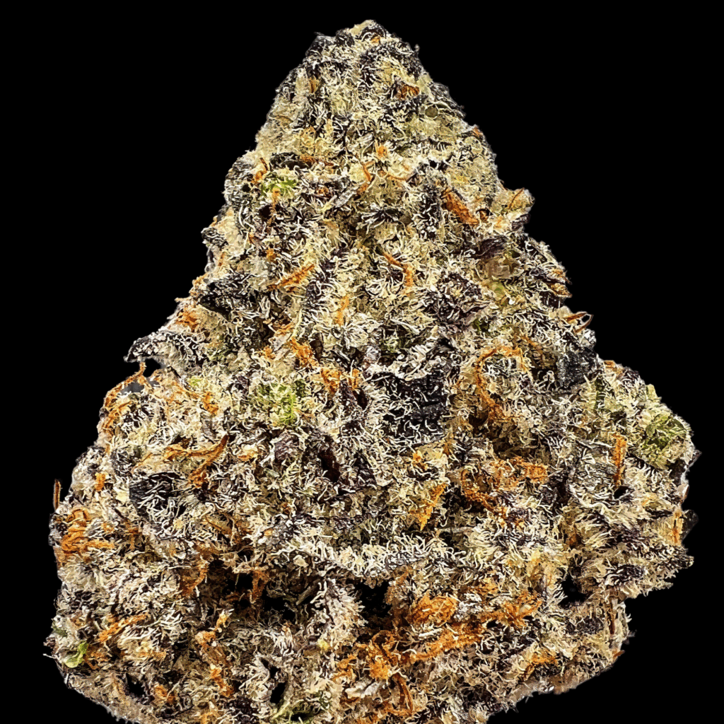 Close up of a frosty purple tinged cannabis flower with orange hairs and trichomes showcasing premium quality strain from hifico