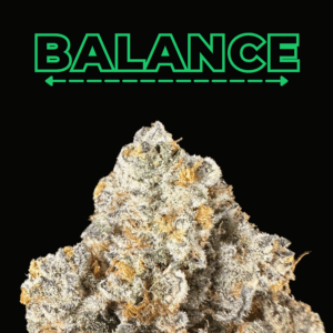 gello shotz thca flower   high fidelity co