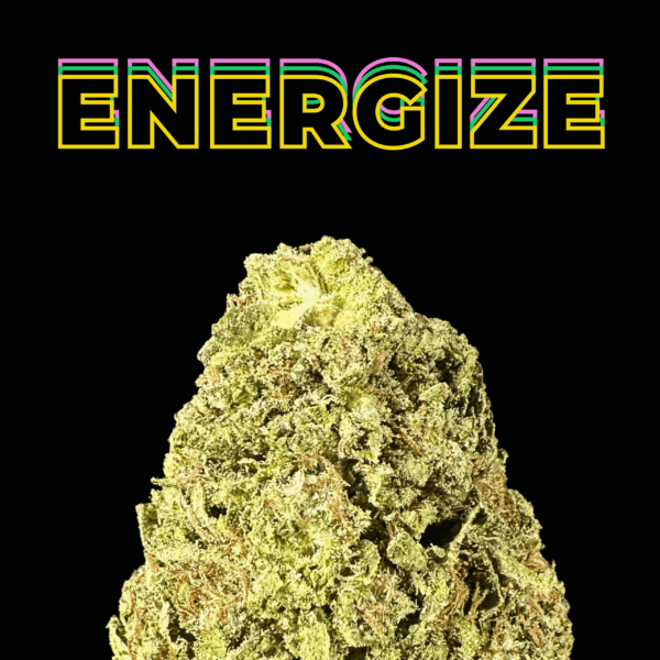 "Key Lime Jack" THCa Flower