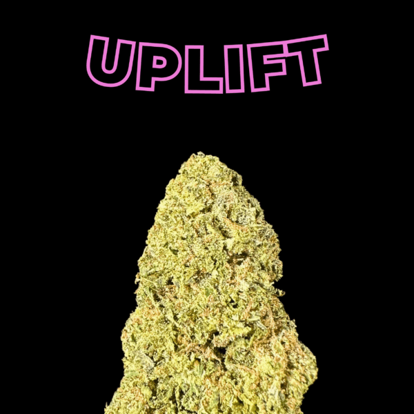 "Lemon Pie" THCa Flower