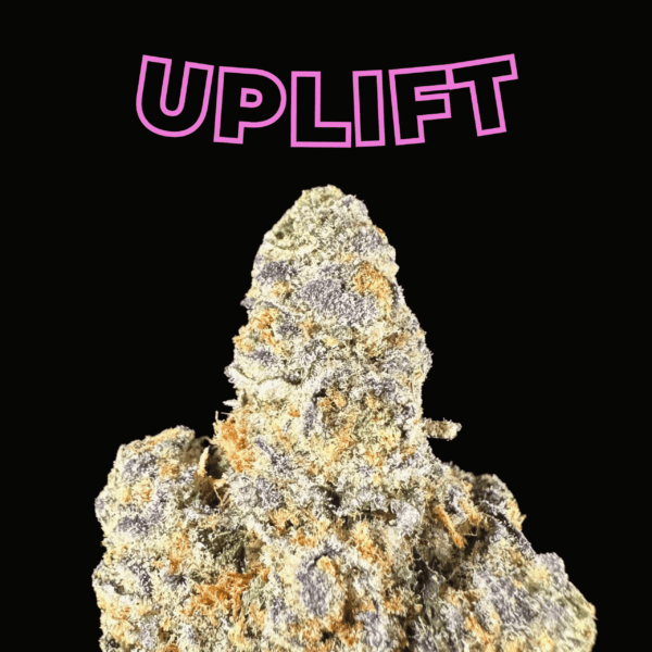 "Mango Fruz" THCa Flower