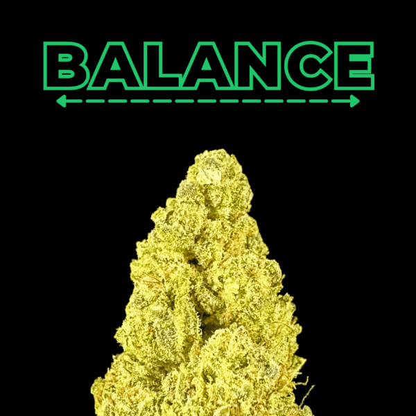 "Sunday Driver" THCa Flower