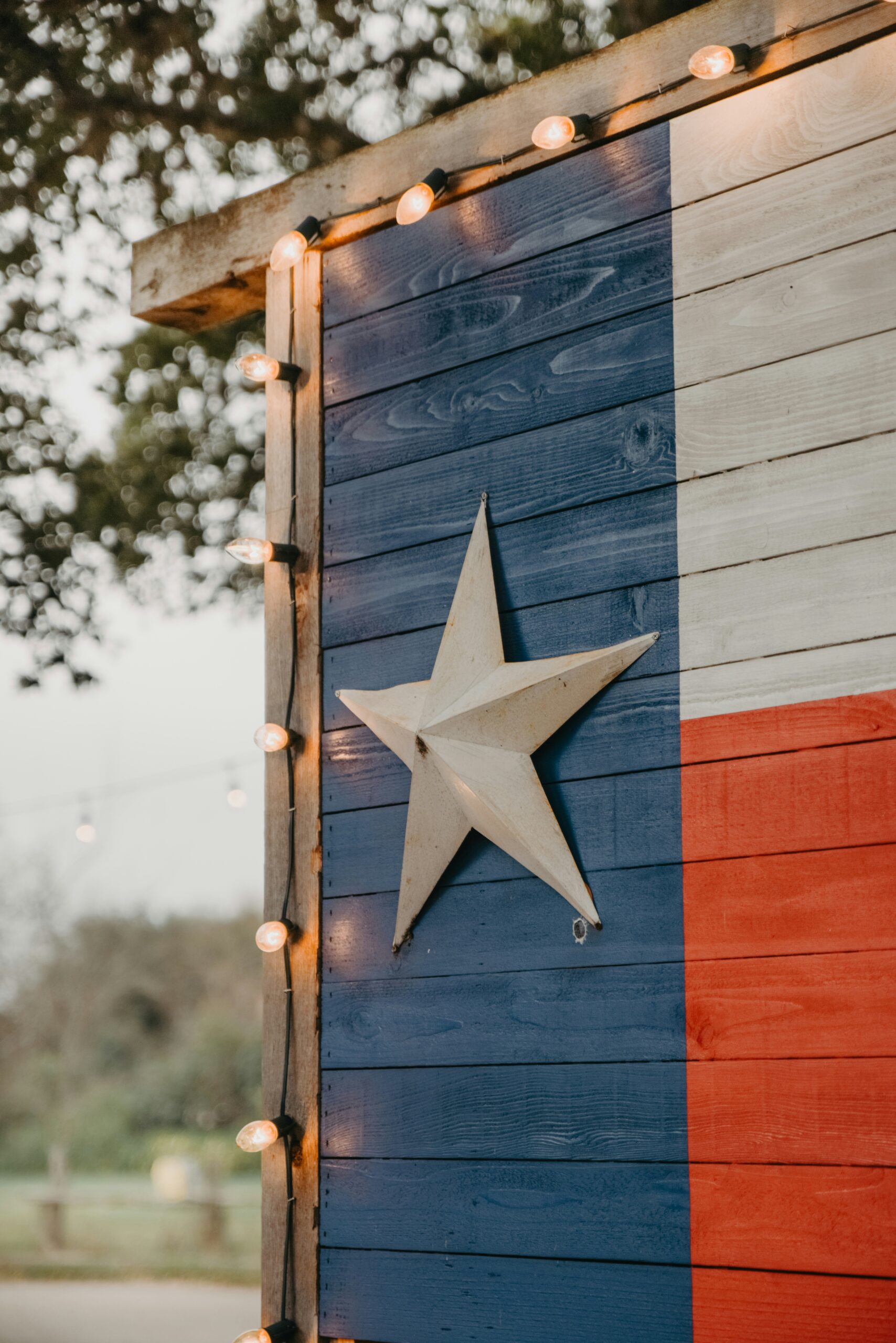 Decorative texas flag