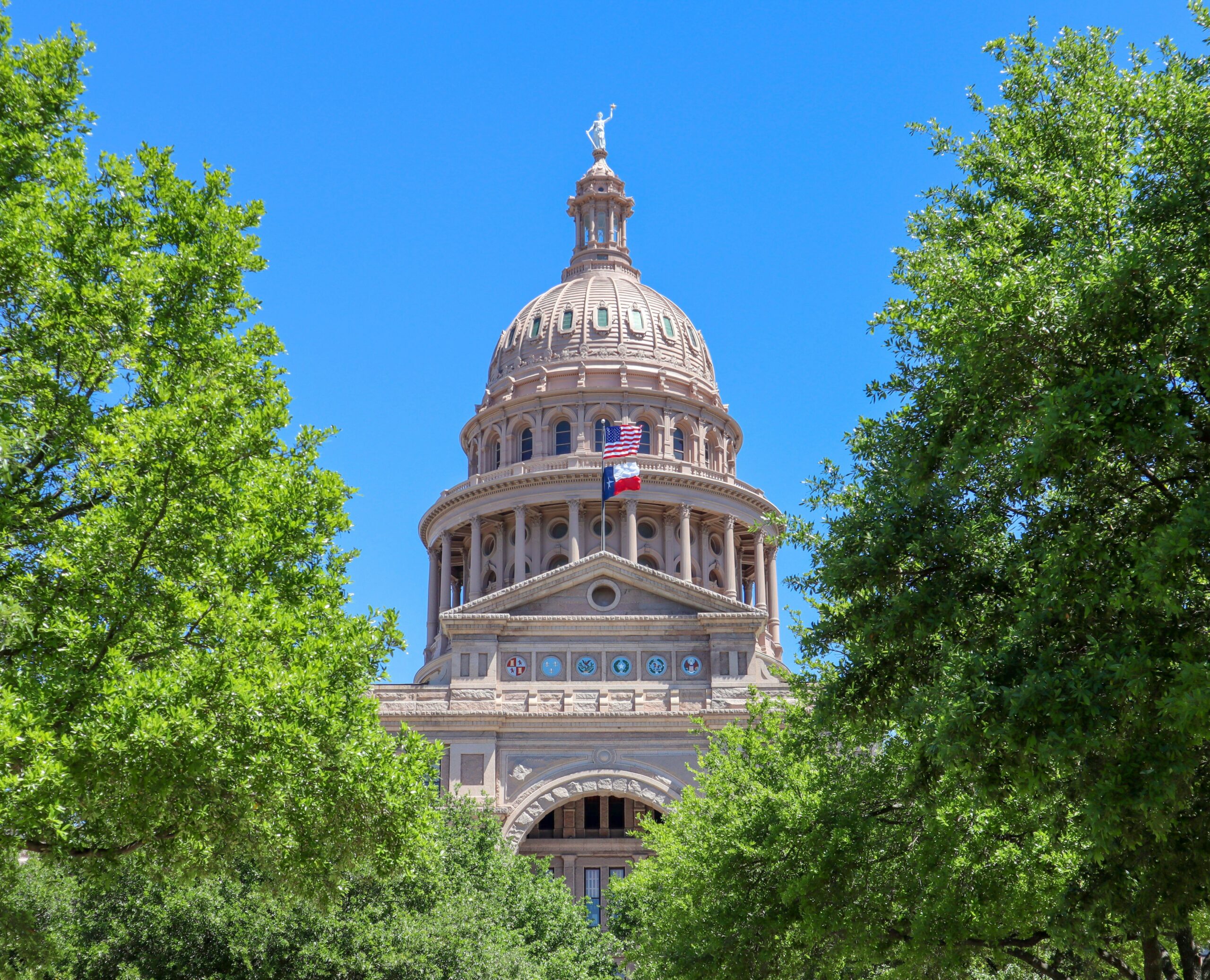 Whats your plan for the texas thc ban high fidelity co Texas capitol building