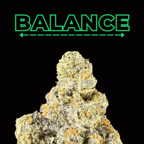 "Bebesita Diesel" THCa Flower