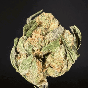 cheetoz thca flower   high fidelity co
