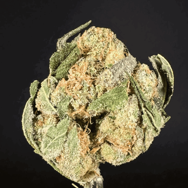 "Cheetoz" THCa Flower