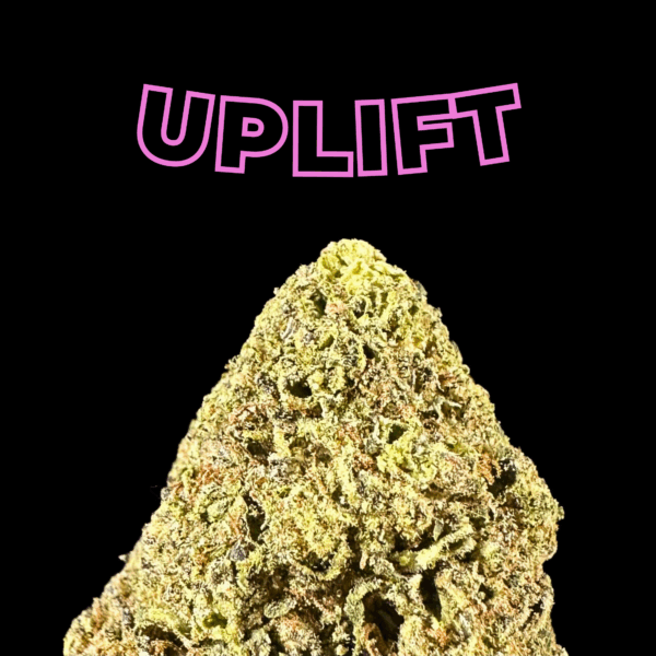 "Dirty Taxi" THCa Flower