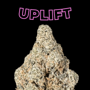 golden kiwi thca flower   high fidelity co