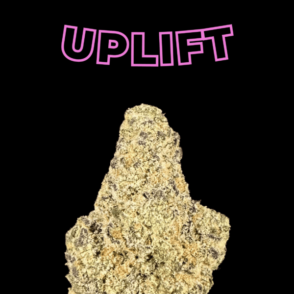 "L'orange" THCa Flower