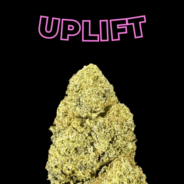 "Lazer Bomb" THCa Flower