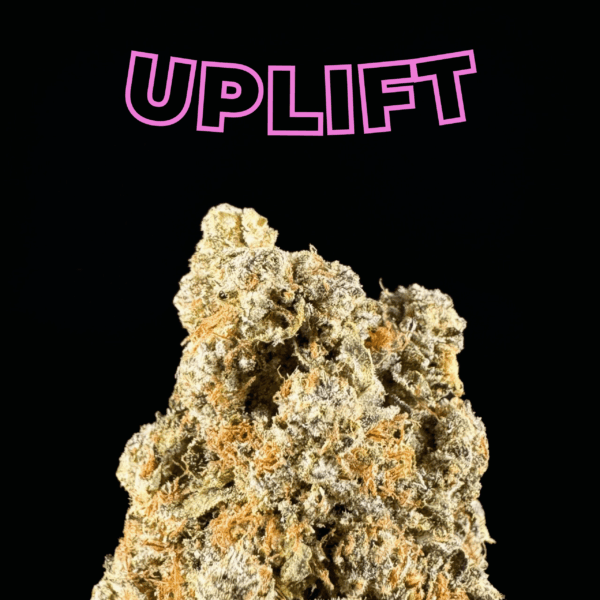 "Mac 1" THCa Flower (HF725)