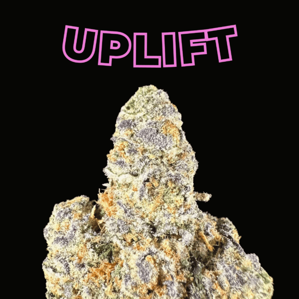 "Mango Fruz" THCa Flower