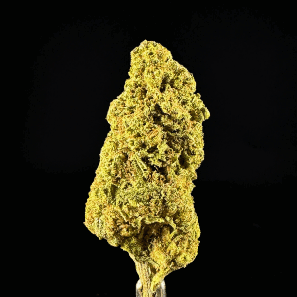 "Mango Haze" THCa Flower