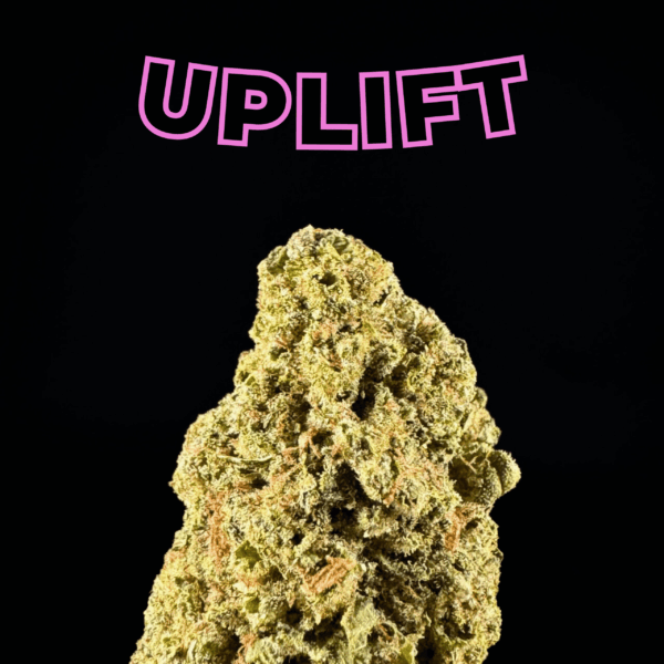 "Mango Haze" THCa Flower