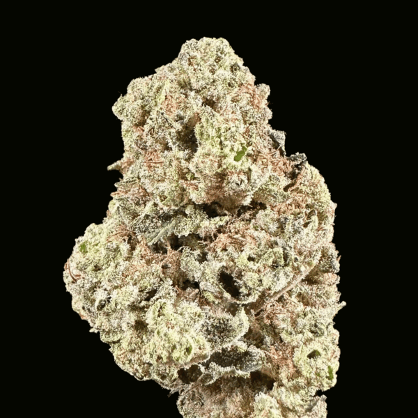 "Magic Night" THCa Flower