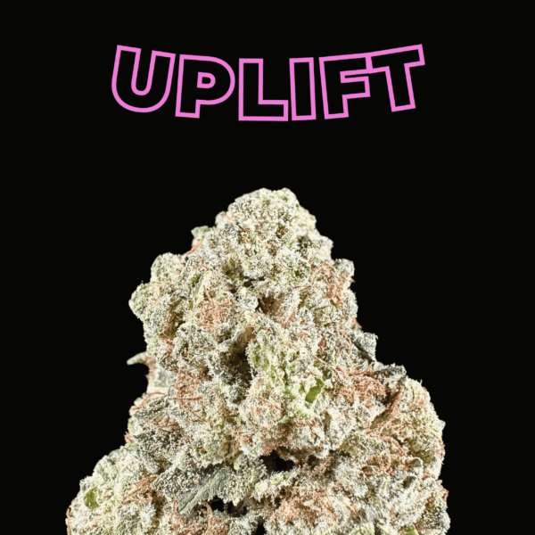 "Magic Night" THCa Flower