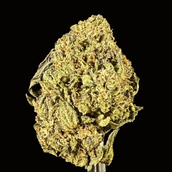 "Papaya" THCa Flower