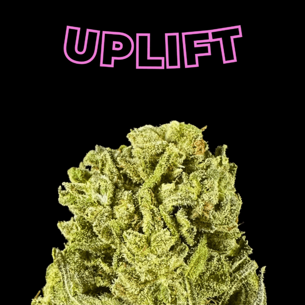 "Pineapple Thai" THCa Flower