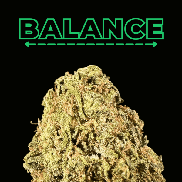 "Poison Party" THCa Flower