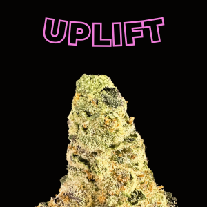 space captain thca flower   high fidelity co