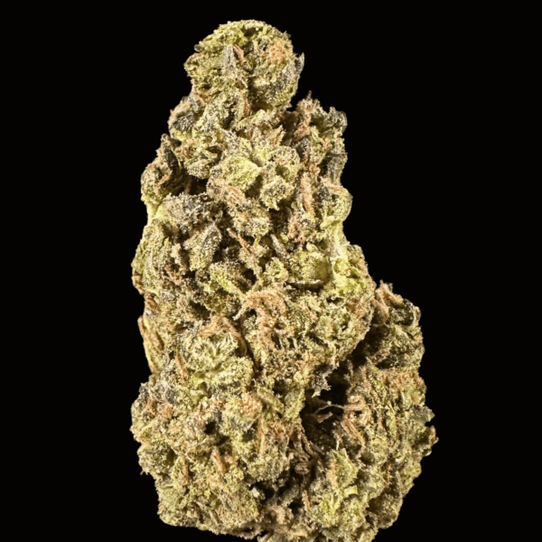 "Sunset Sherbet Cookies" THCa Flower