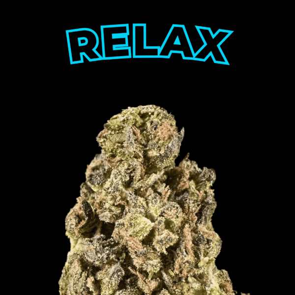 "Sunset Sherbet Cookies" THCa Flower