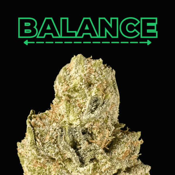 "Wizard Fuel" Smalls THCa Flower