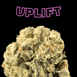 Cereal Milik THCa Flower